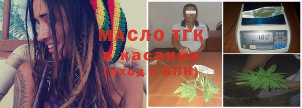 индика Медногорск