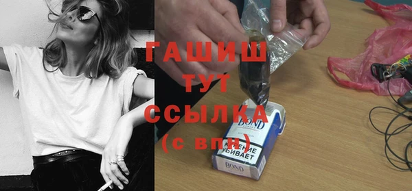 индика Медногорск