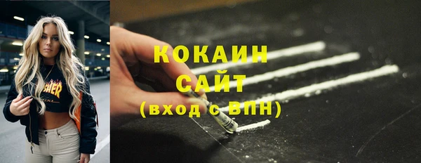 индика Медногорск