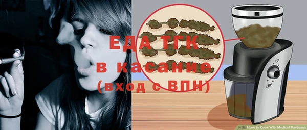 индика Медногорск