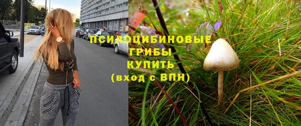 индика Медногорск