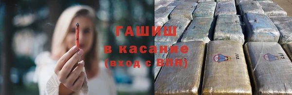 индика Медногорск