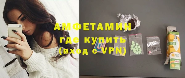 индика Медногорск