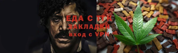 индика Медногорск