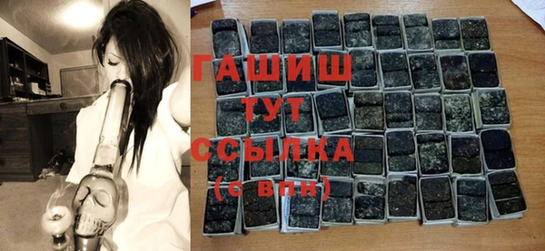 индика Медногорск