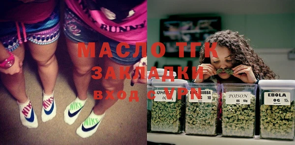 индика Медногорск