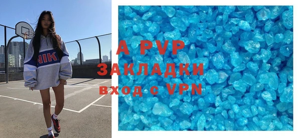 индика Медногорск