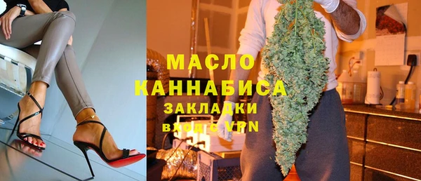 индика Медногорск