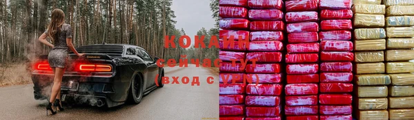 индика Медногорск