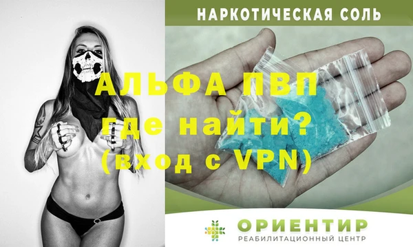 индика Медногорск