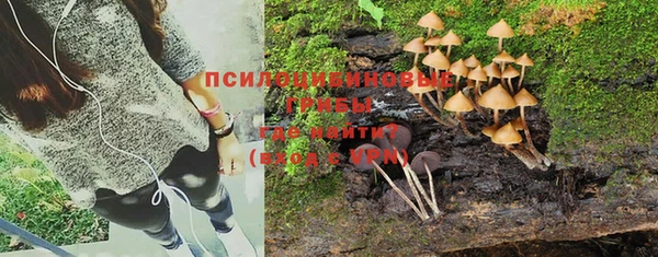 стафф Мегион
